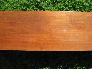 Walnut (Dracontomelon mangiferum)