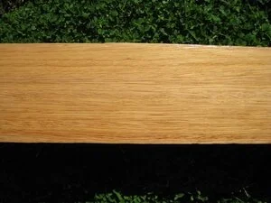 Pencil Cedar (Palaquium sp.)