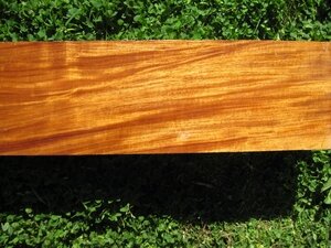 Rosewood (Pterocarpus indicus)