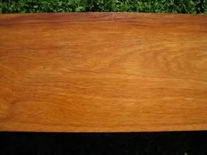 Mahogany (Swietenia macrophylla)