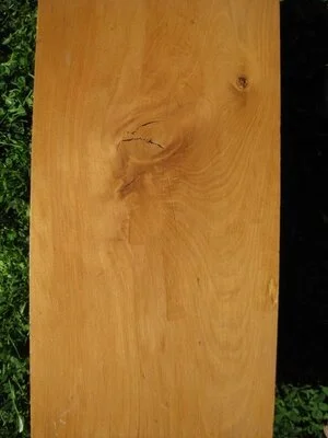 Brown Pine (Podocarpus elatus)