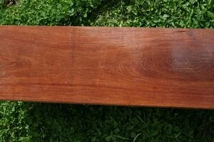 African Blood Wood (Pterocarpus angolensis)