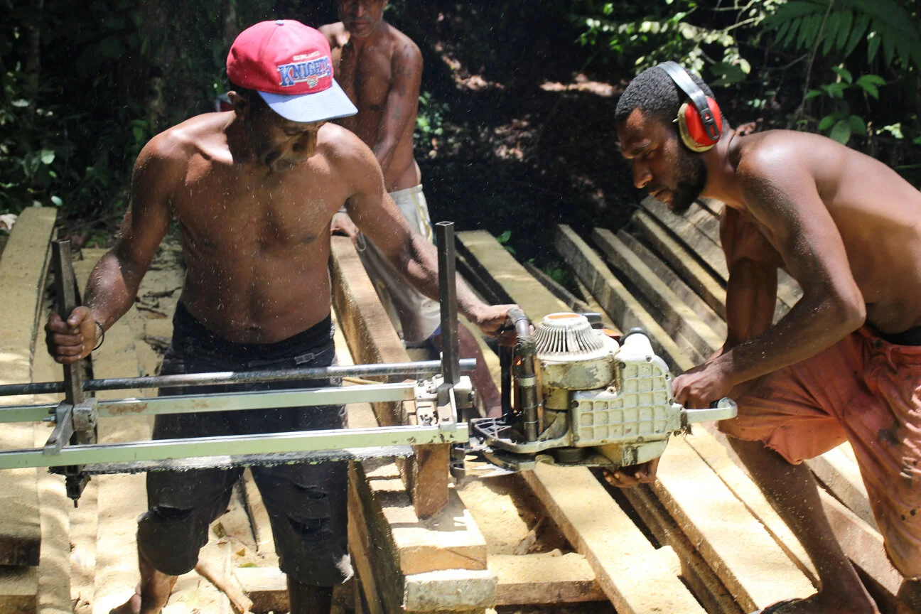 Harvesting Rosewood above the Busu River, out from Lae, P.N.G