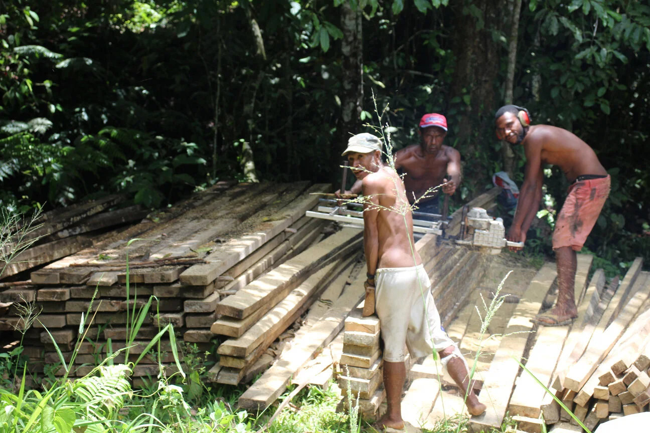 Harvesting Rosewood above the Busu River, our from Lae P.N.G