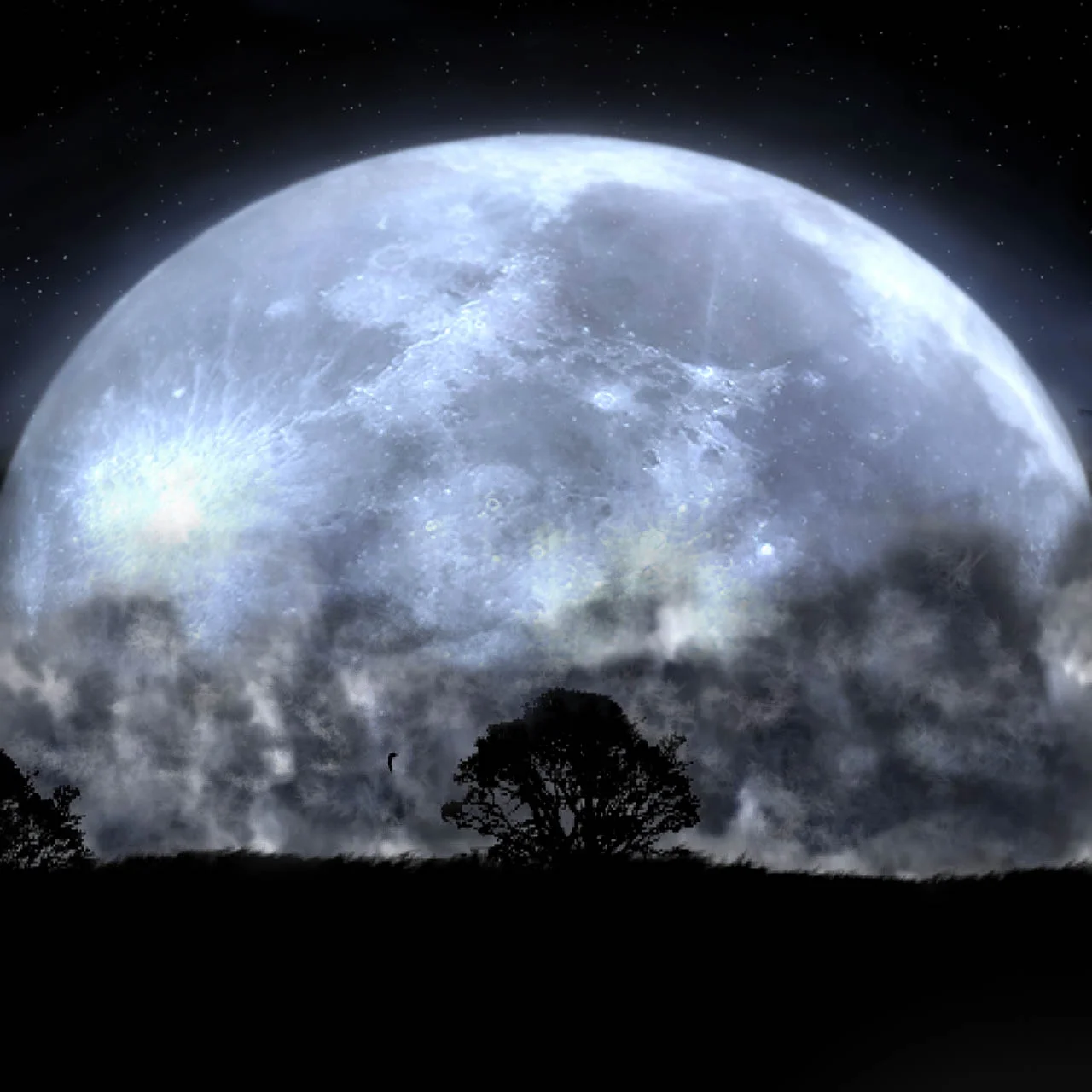 Moon_Contact.jpg