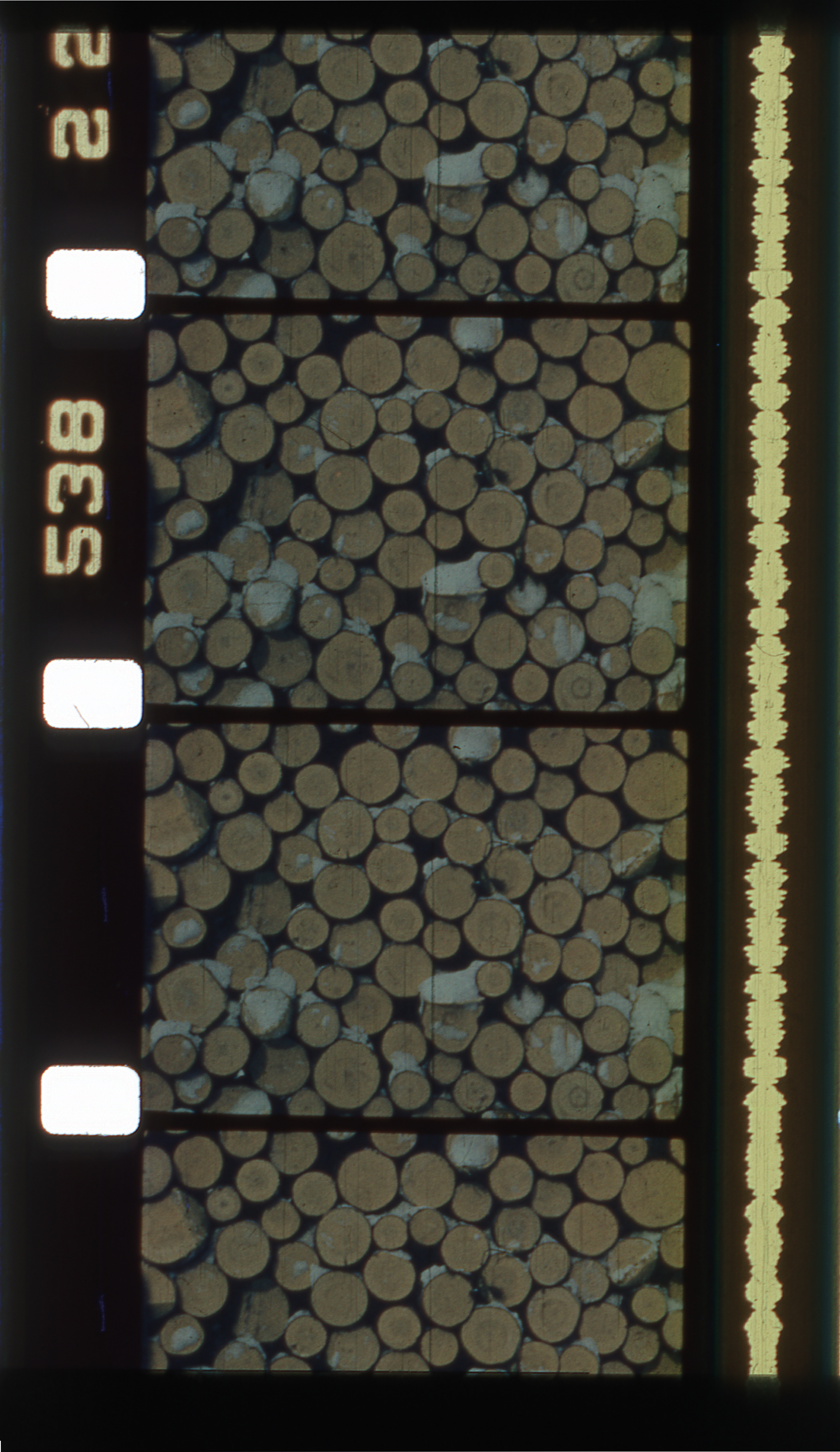 The Search for The Foundists (Film scan)