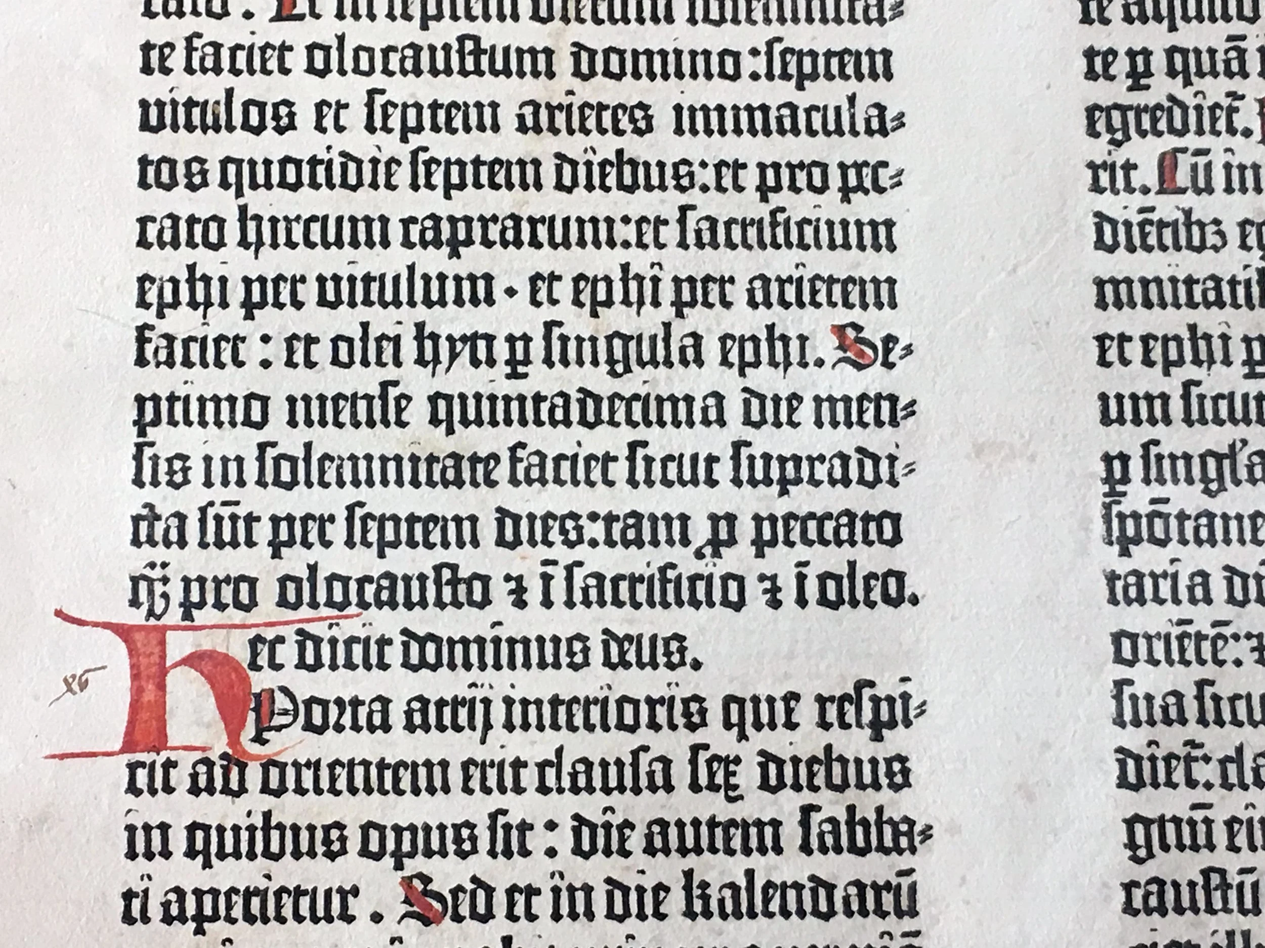 early gothic script.jpg