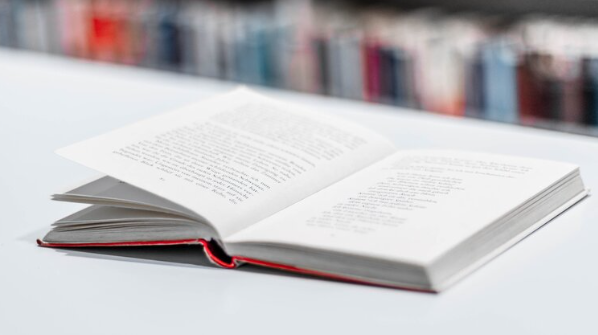 What Do You Call a Person Who Creates the Inside of a Book?