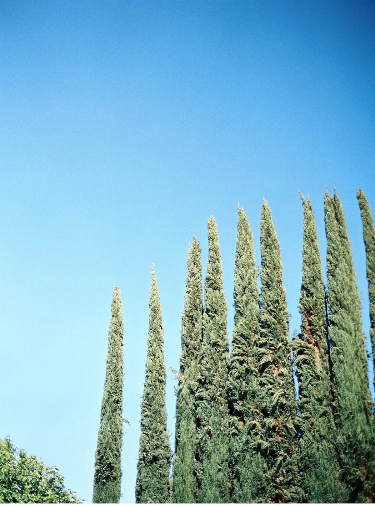 euniceandpatrick-12.jpg