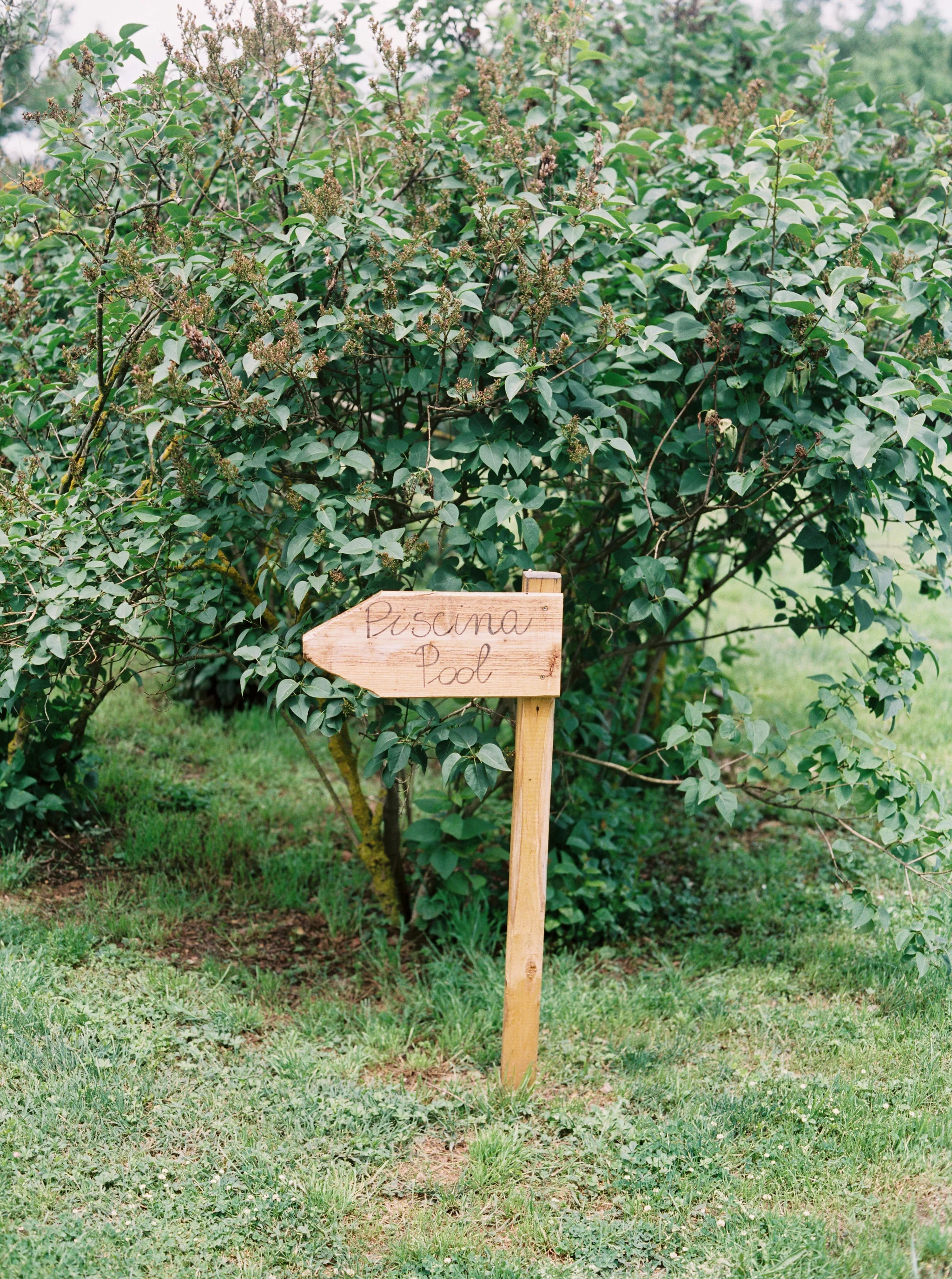 tomrebecca-24.jpg