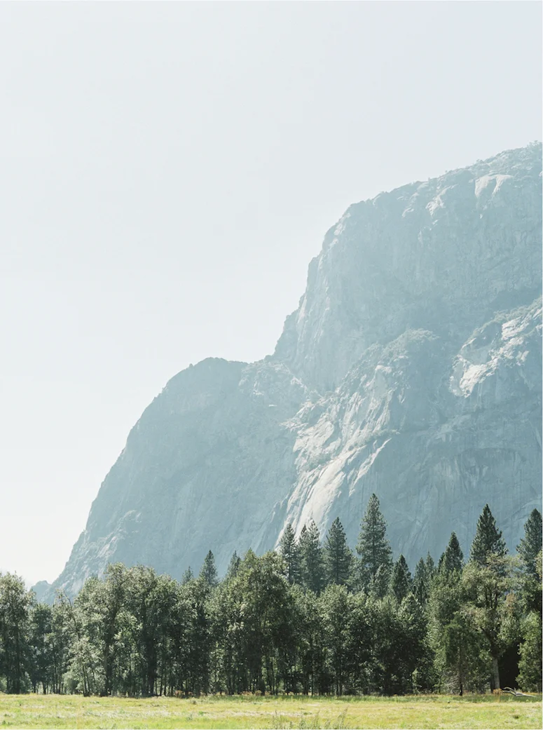Meiwen Wang Photography-Yosemite Engagement 9 .jpg