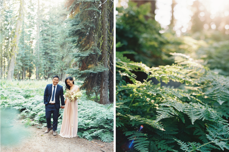 Meiwen Wang Photography-Yosemite Engagement 31.png