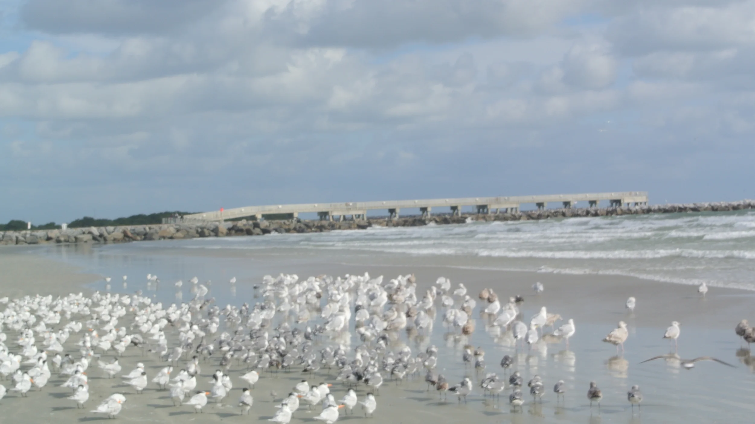 DSC_4404.JPG