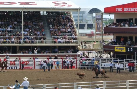 steer wrestling pture.JPG