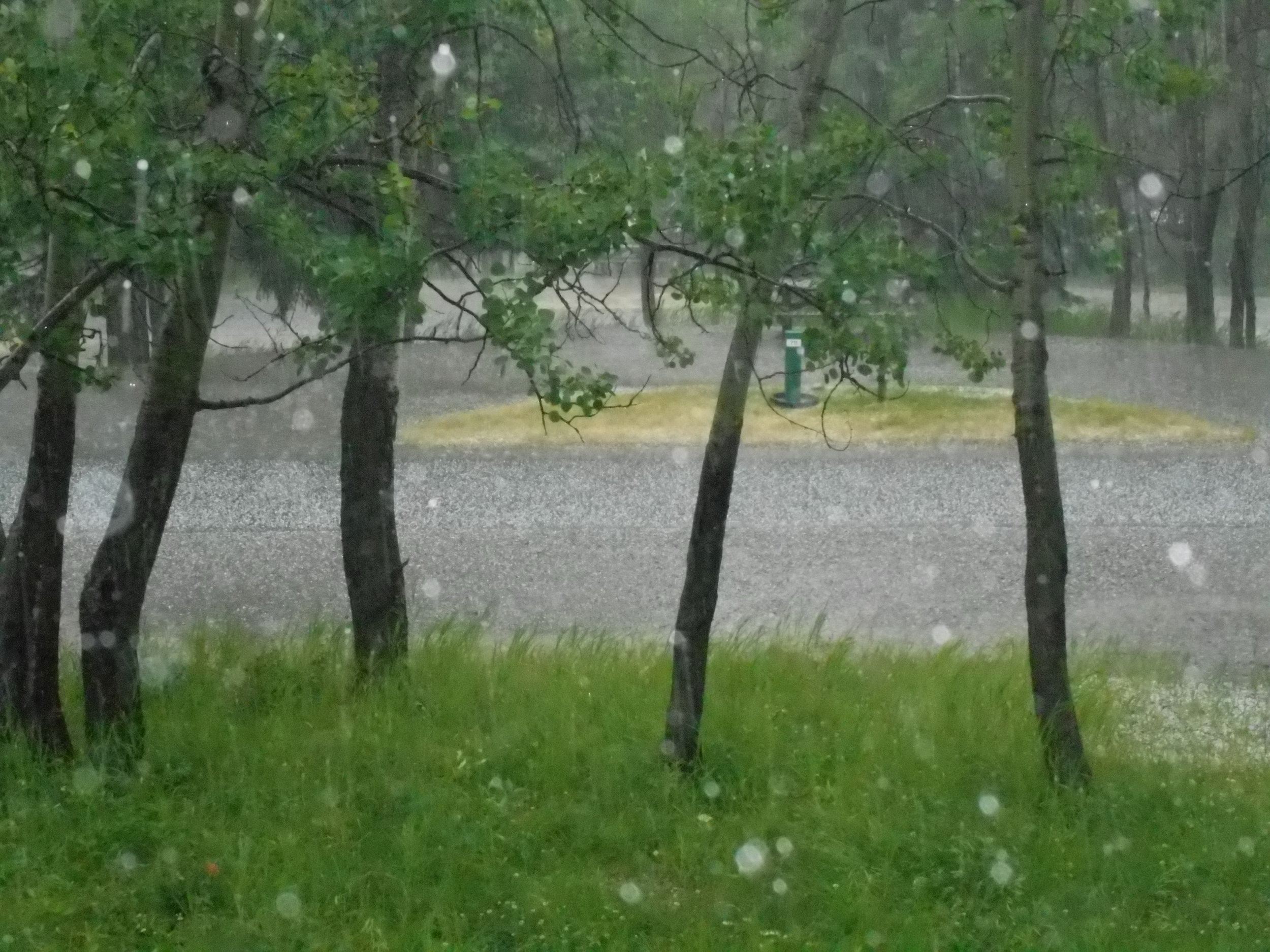 DSCN1197.JPG