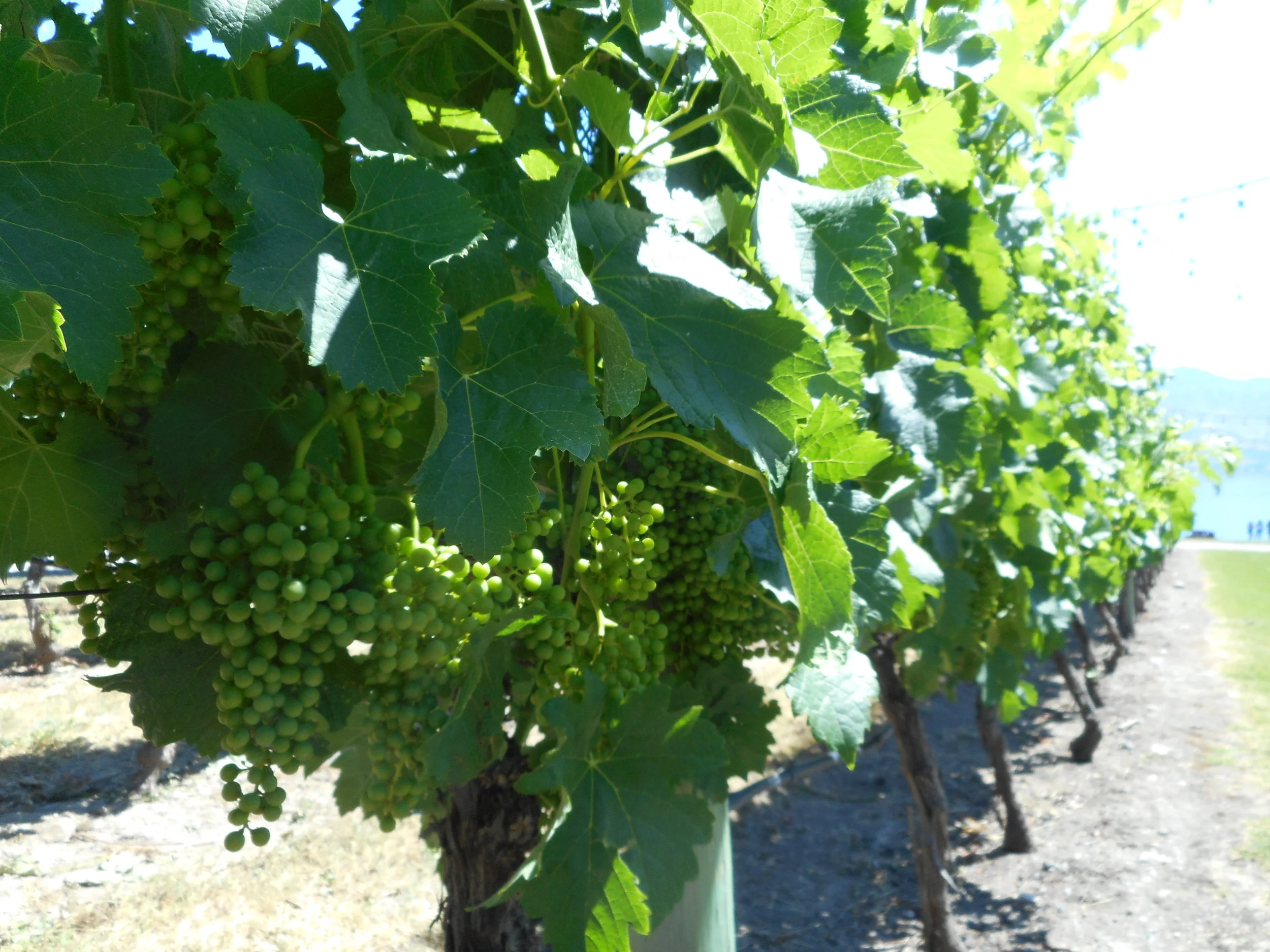 DSCN1227.JPG