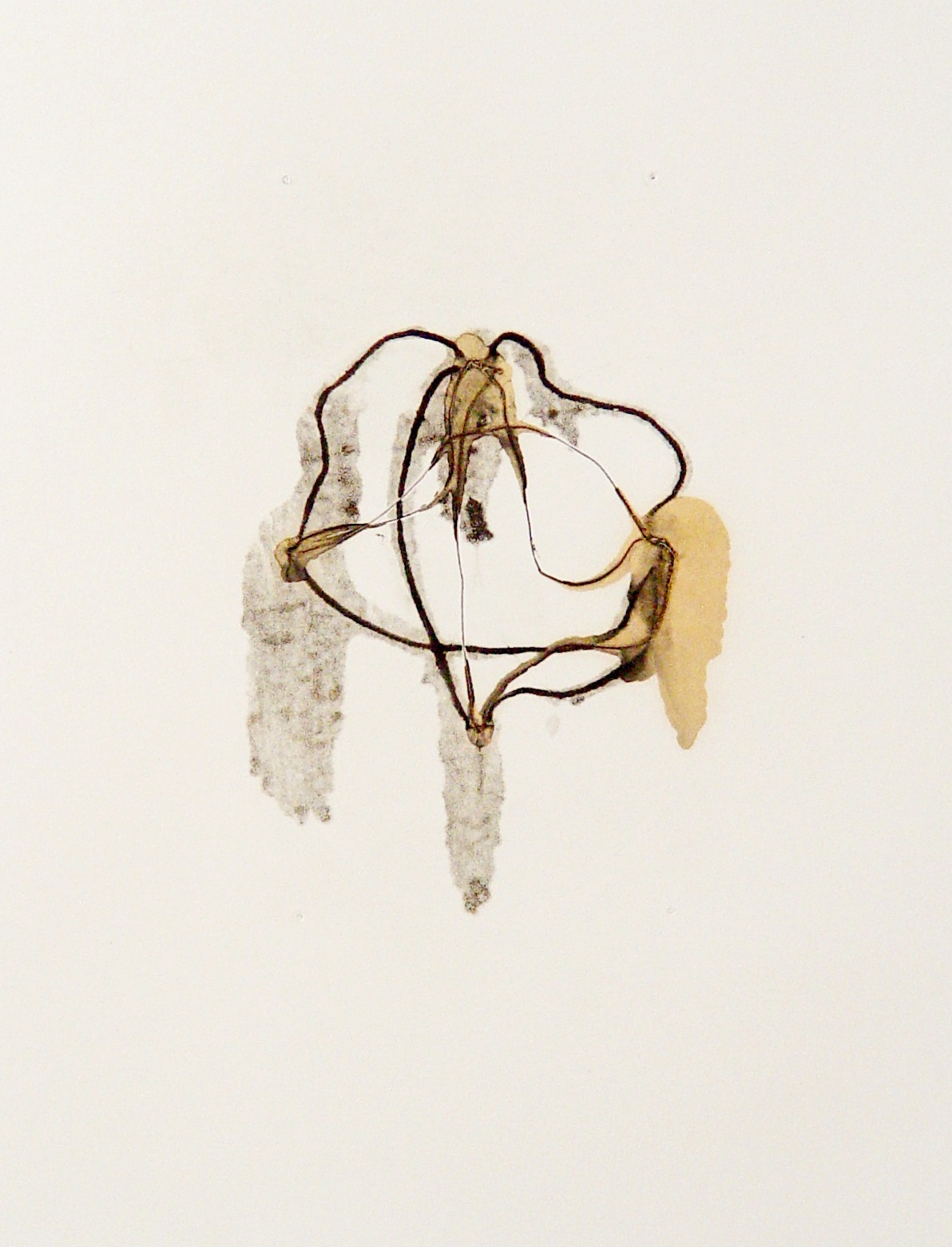 web 1 DSC05247.jpg