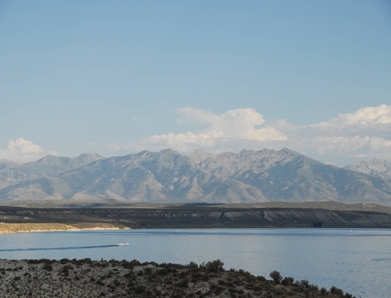 Photo by Leo Drozdoff, Director, Nevada Department of Conservation and Natural Resources