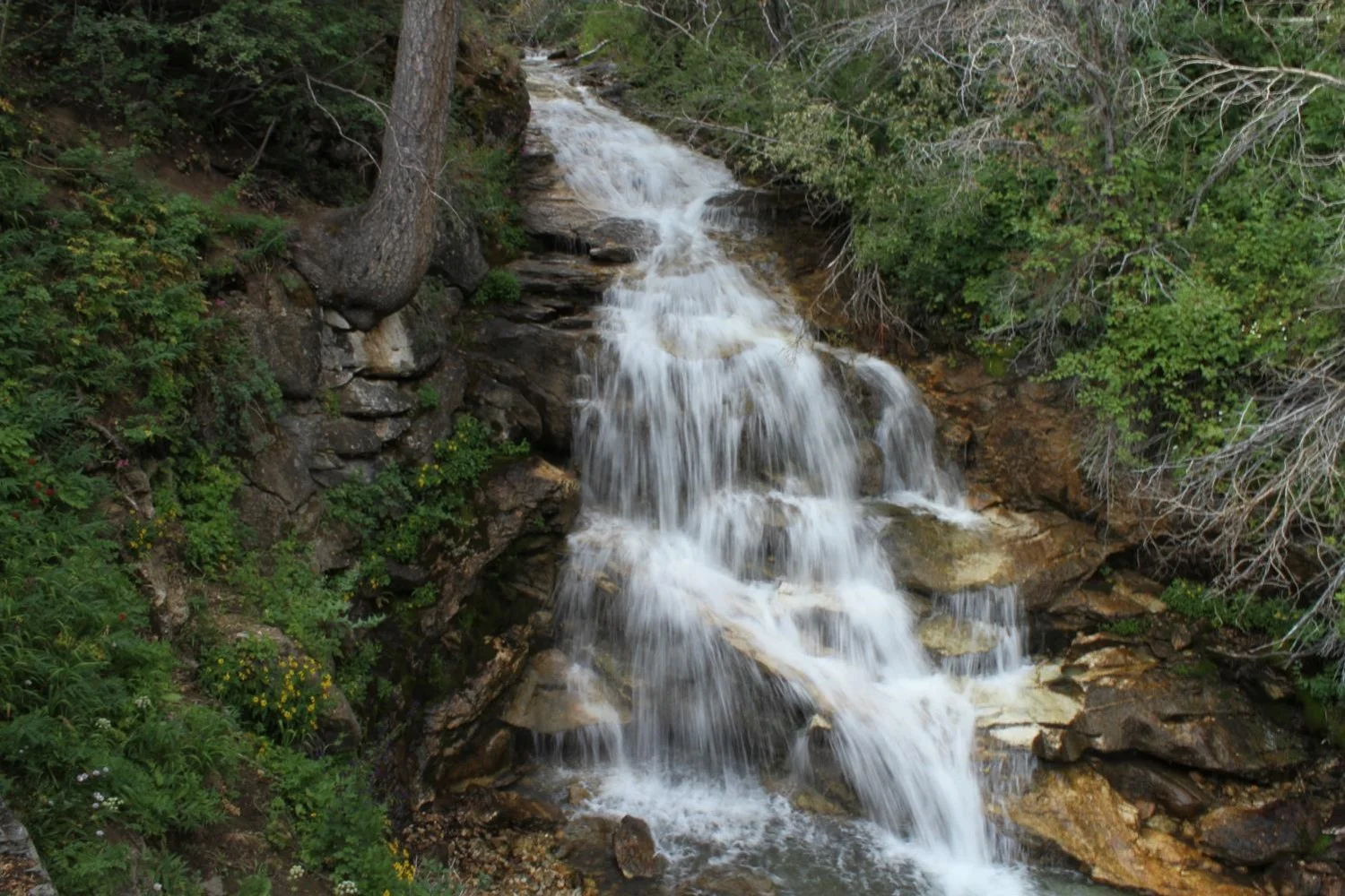 Picture4.jpg