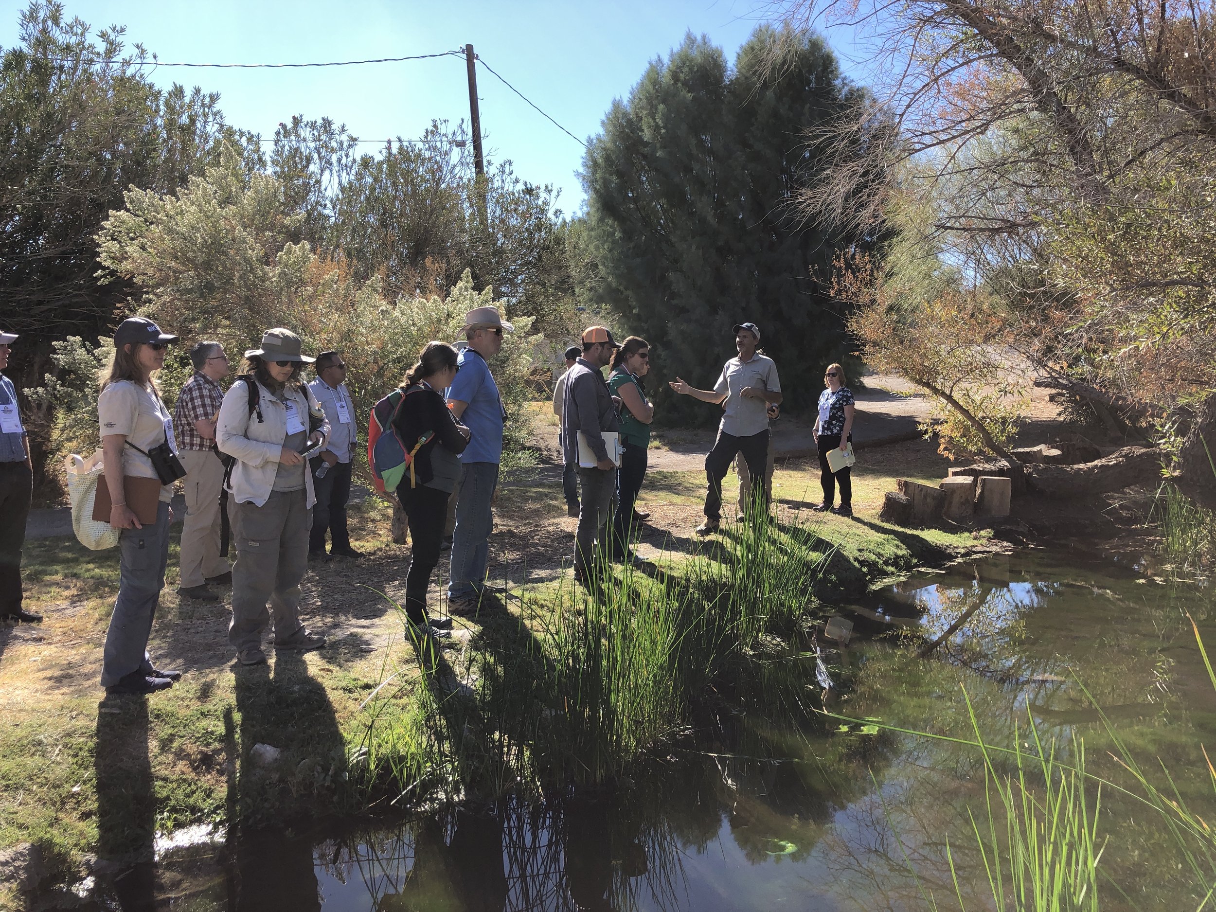 Amargosa 2021 Shoshone Wetlands 2 - Copy.JPG