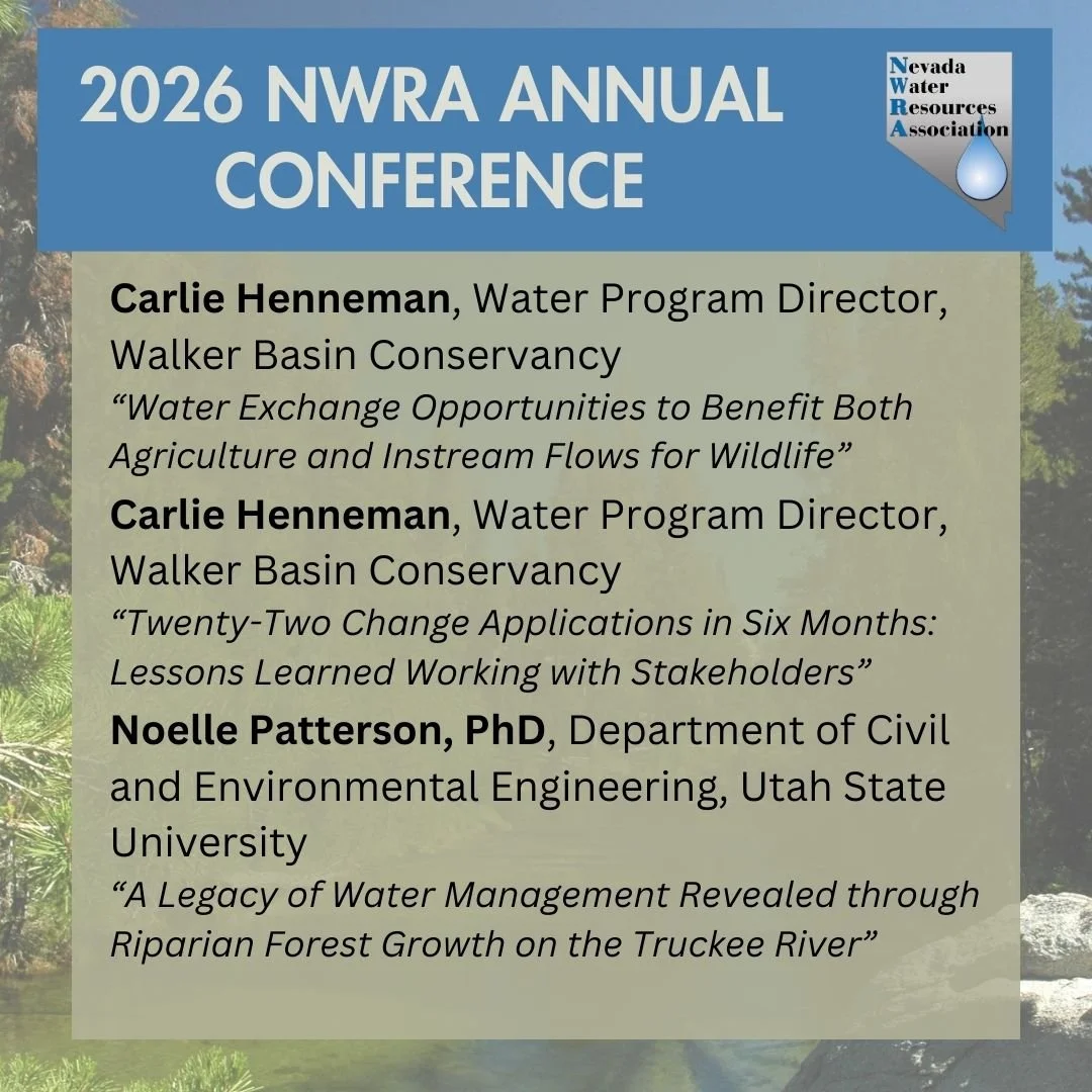 20 Water Management 2.jpg