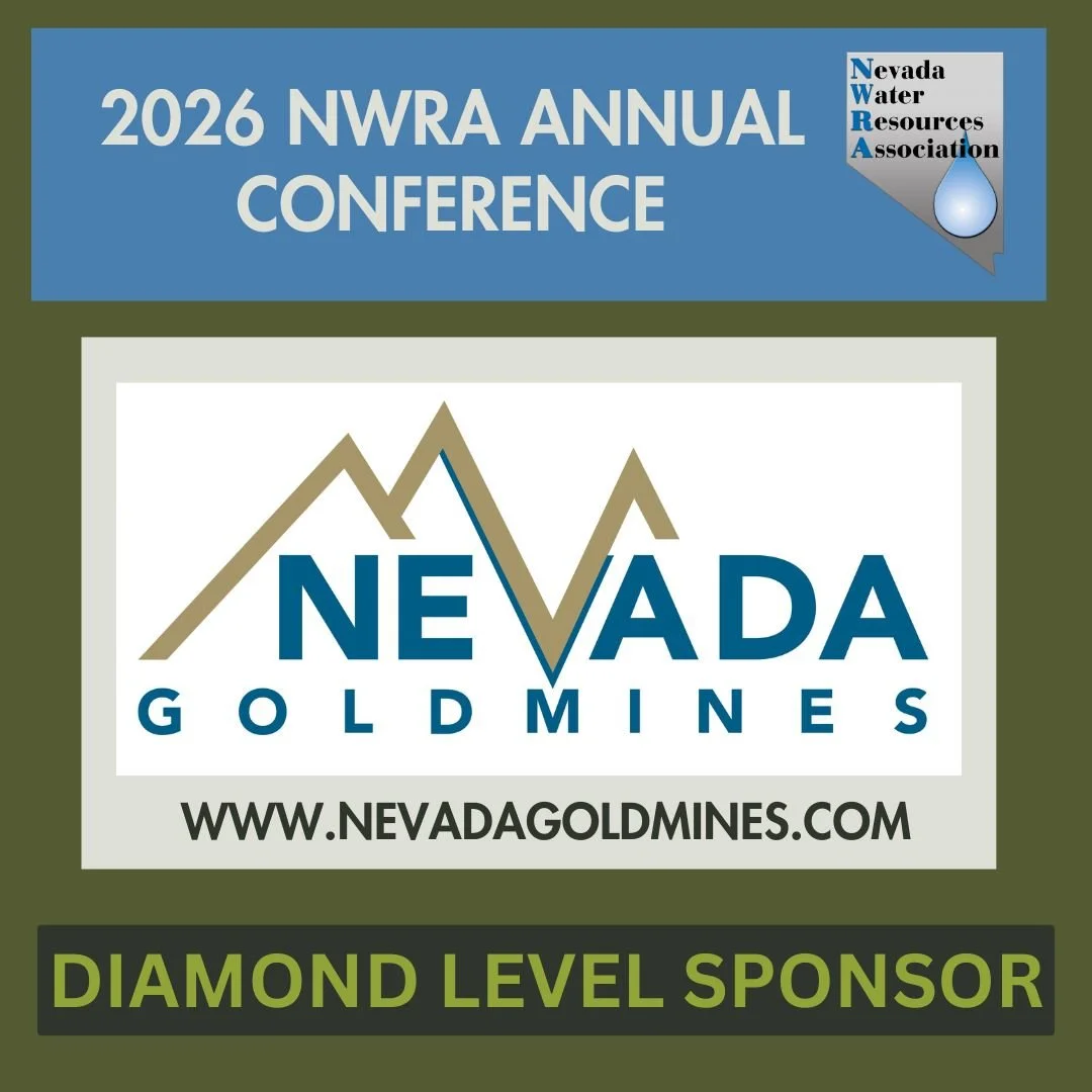 NevadaGoldMinesWebsite.jpg