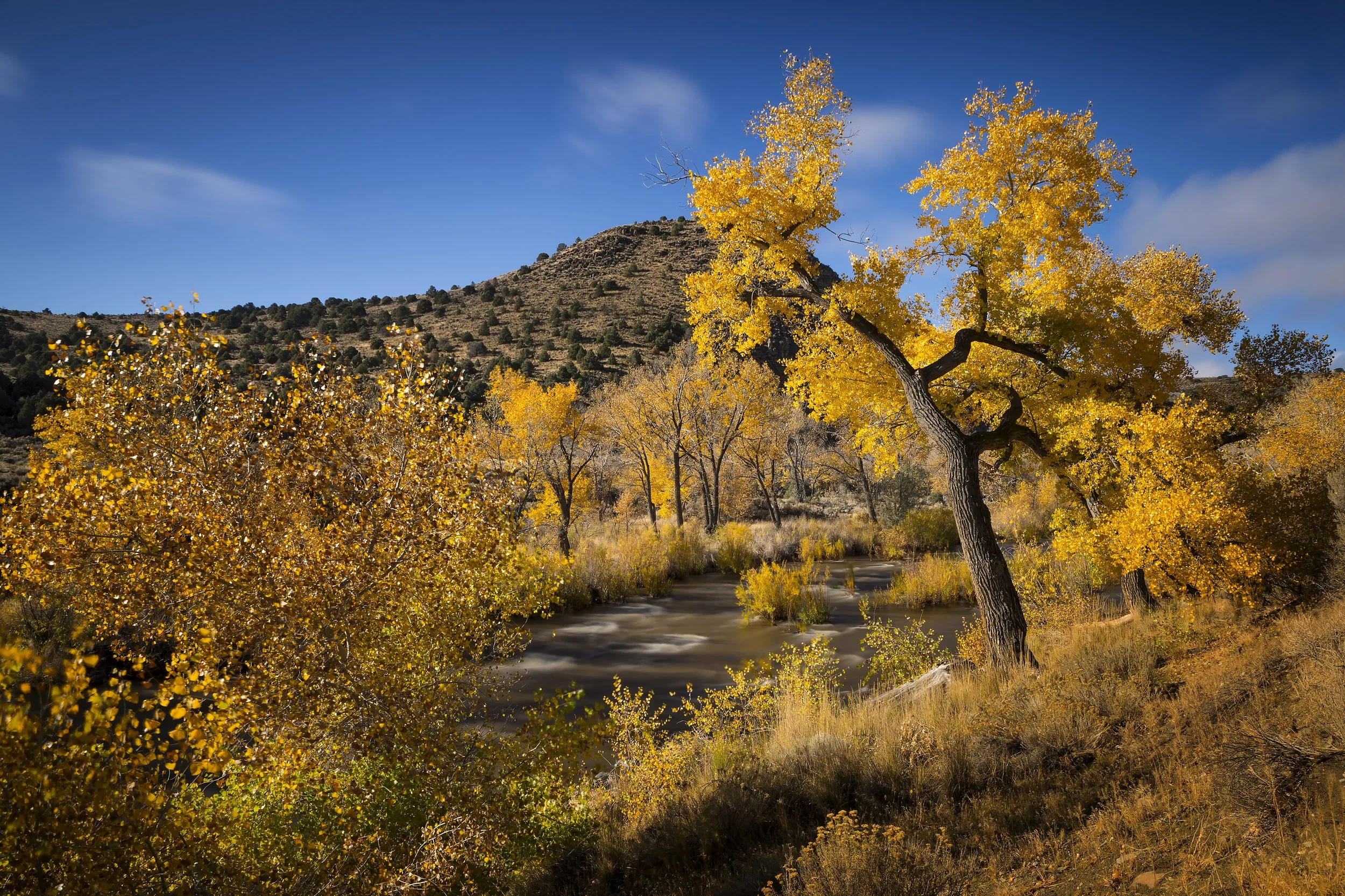 Carson River in Nevada during Fall.jpg