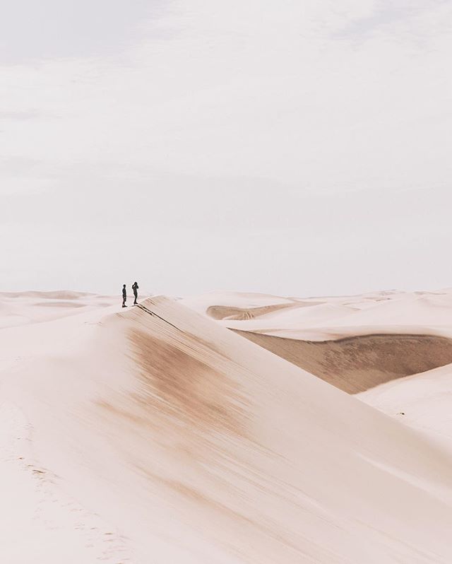 Throwback to wandering through the Namib desert in Africa, Namibia with these cool chaps @jeremyconte and @alx.newman
.
This week we celebrate Samoan language week and today is Samoan Independence Day. Today has me reflecting upon how my language ski