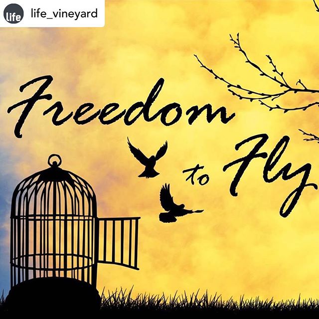Our brilliant Rho @rhodafearon is speaking at @life_vineyard first Beloved women's day conference which is happening on Saturday, October 12th, at our Wallsend site. Called Freedom To Fly, tickets cost £5 and can be booked online here https://beloved-conference.eventbrite.co.uk/