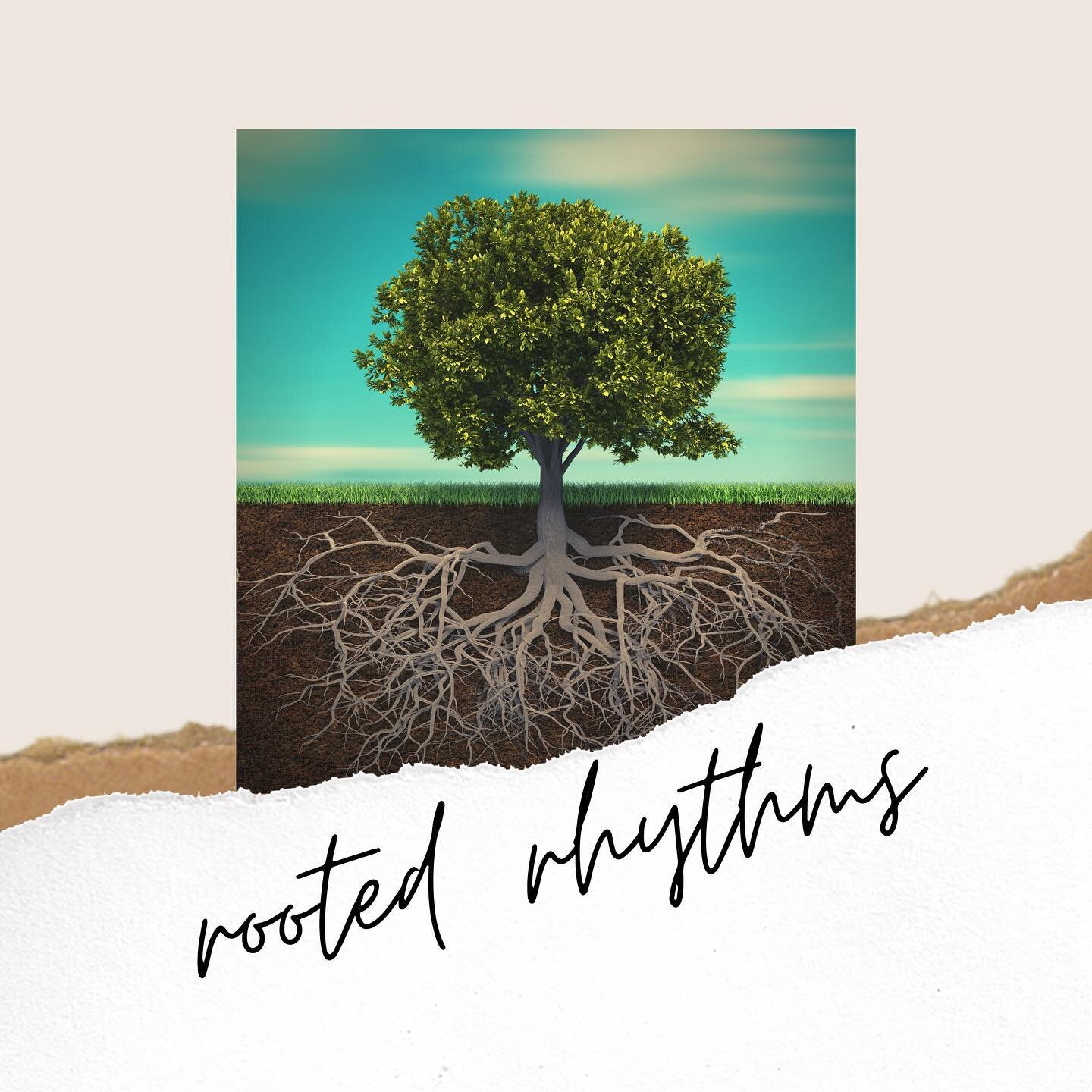 You can catch up on our conversations around Rootedness at our YouTube channel or at our website.

This week in our Rooted journey, we thought a little about where our roots are headed.  Of taking some time this week to think about where our nourishm