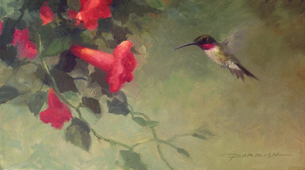 Humming-Bird-Web-1000.jpg