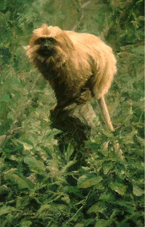 Lion_Tamerin-Web-500.jpg