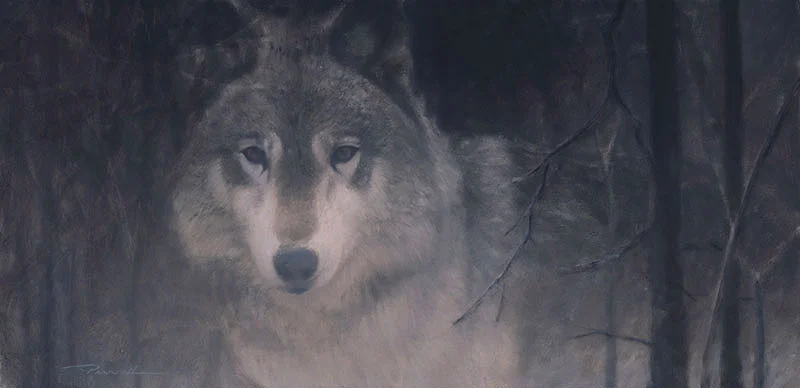 Endangered-Evening-800.jpg