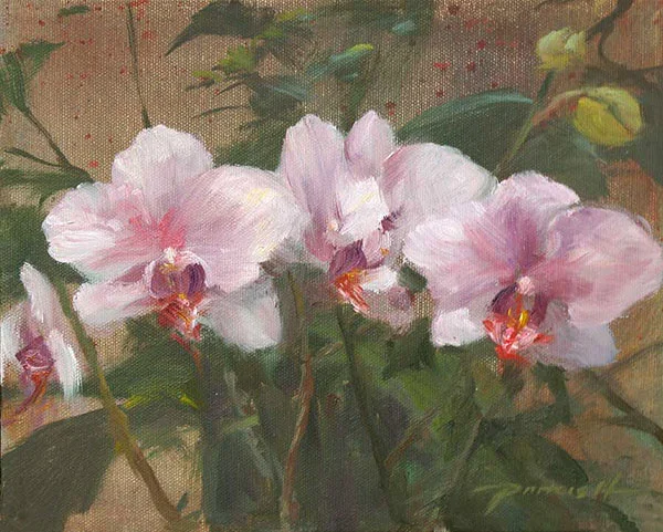 Orchids-600.jpg