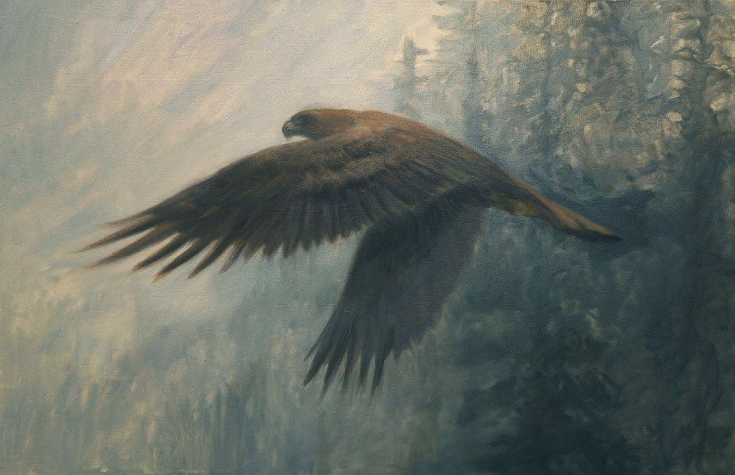 Golden-Eagle.jpg