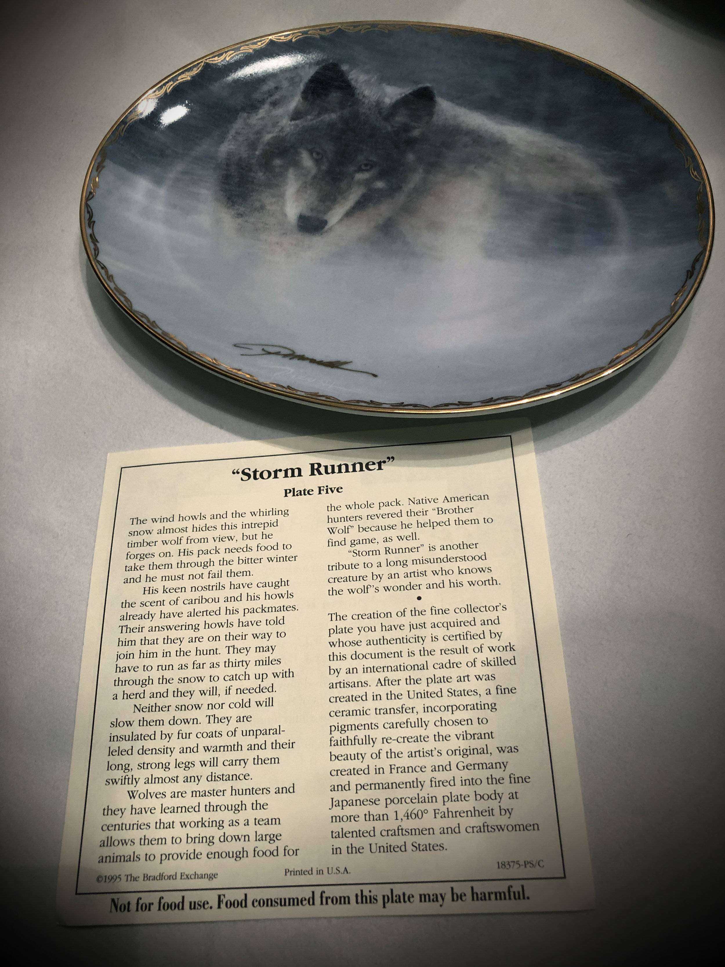 Storm Runner About.jpg