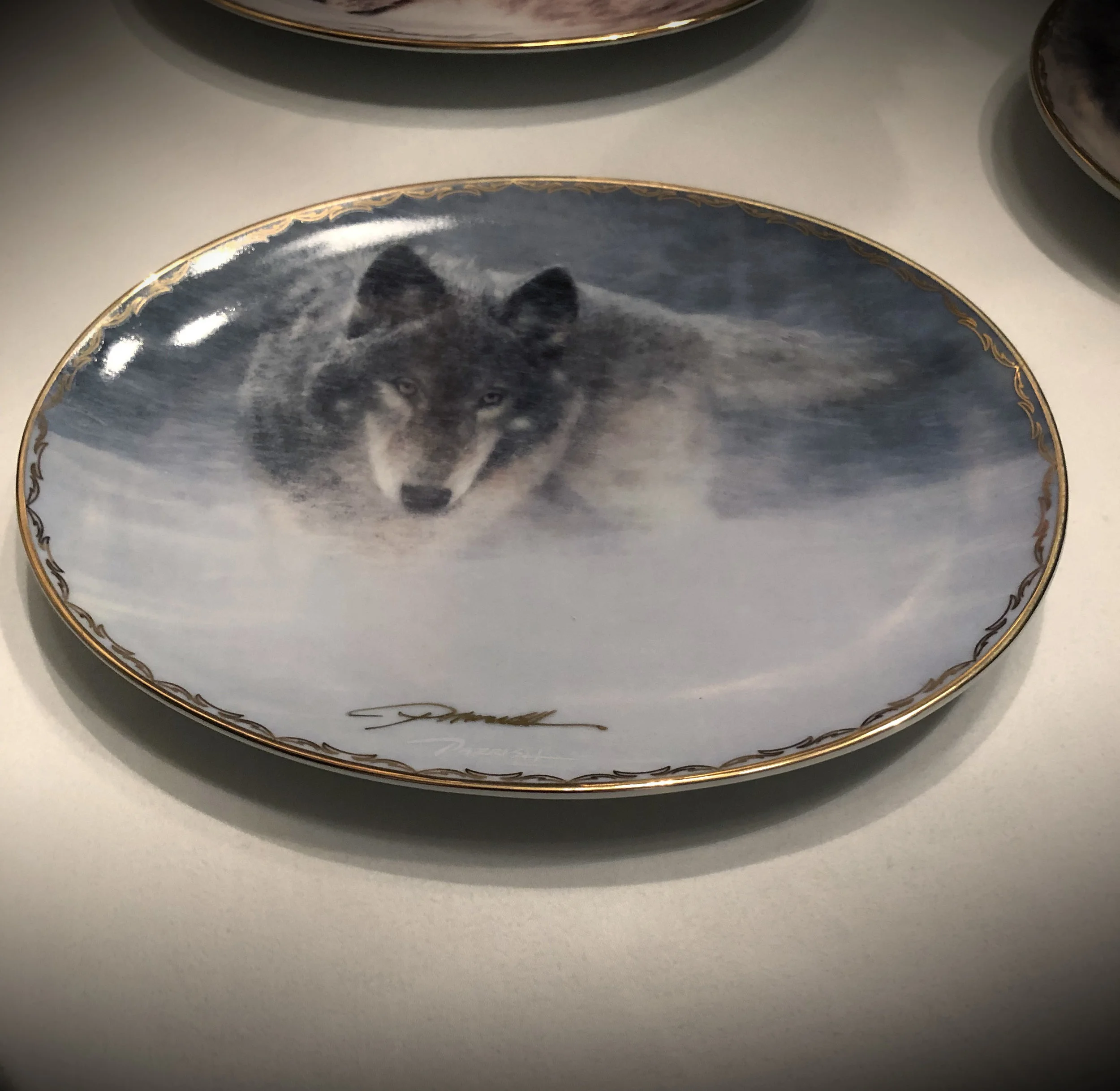 Storm Runner Front.jpg