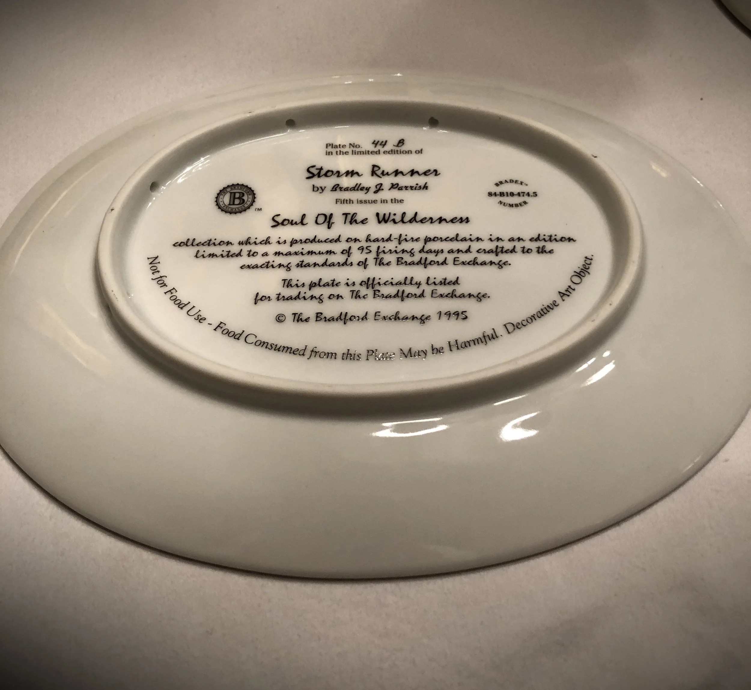 storm Runner Back.jpg