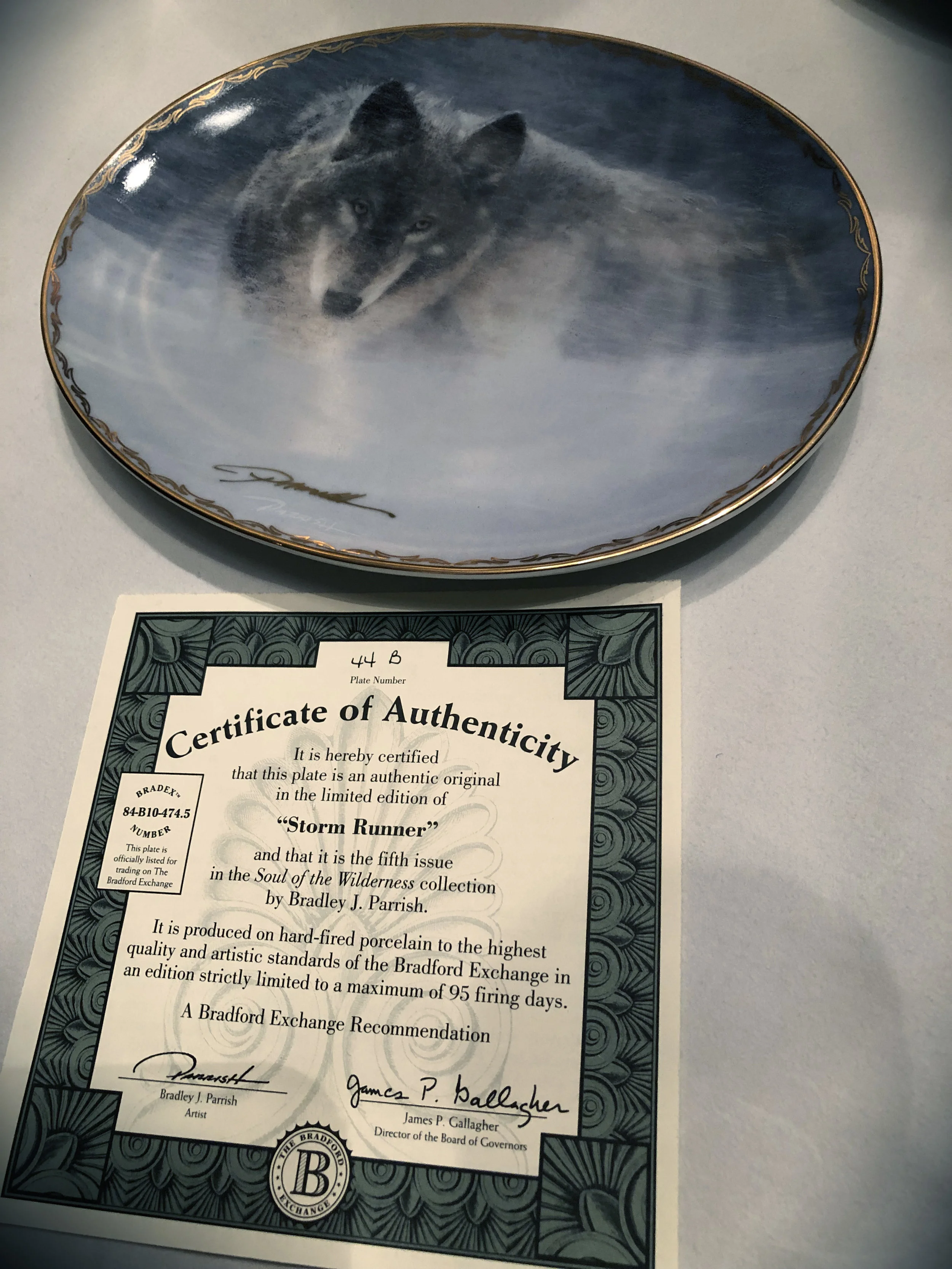 Storm Runner Cerificate.jpg