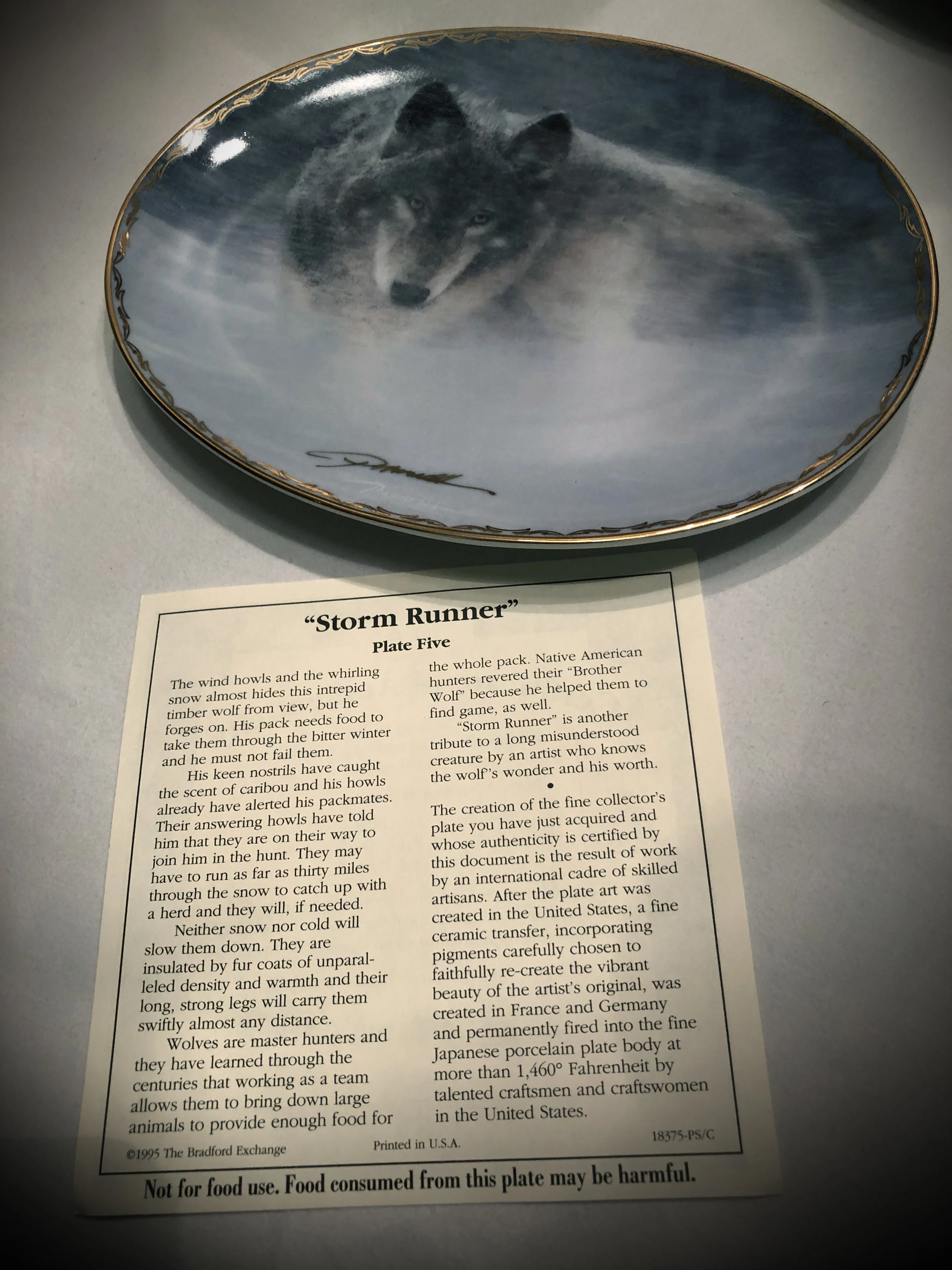 Storm Runner About.jpg