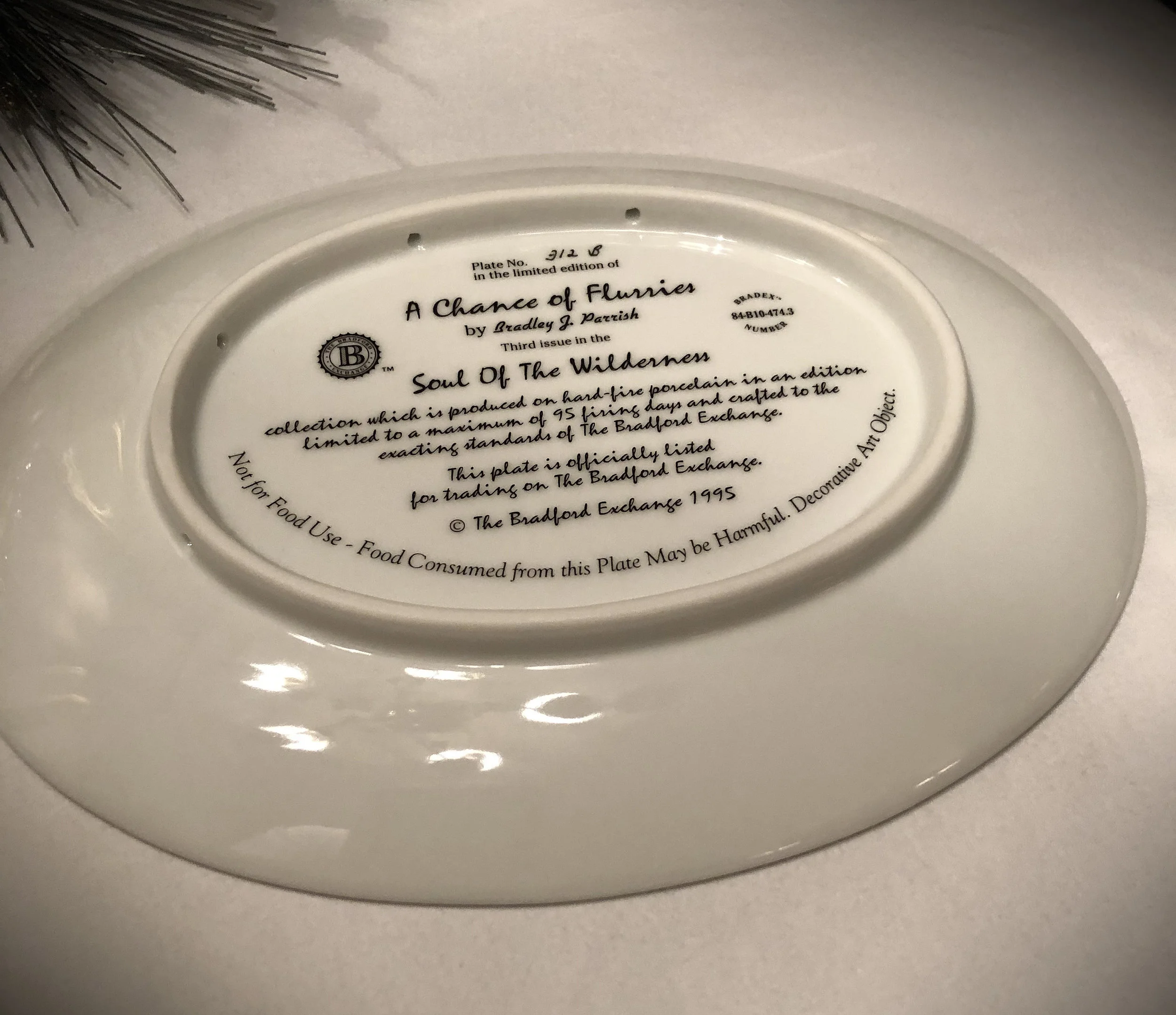 A Chance of Flurries Back.jpg