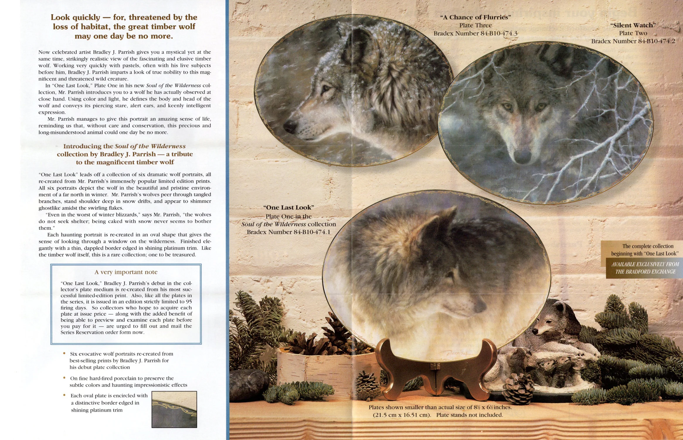 Inside of Brocure Large.jpg