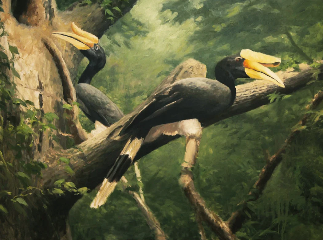 Two-Rhinoceros-Hornbills.jpg