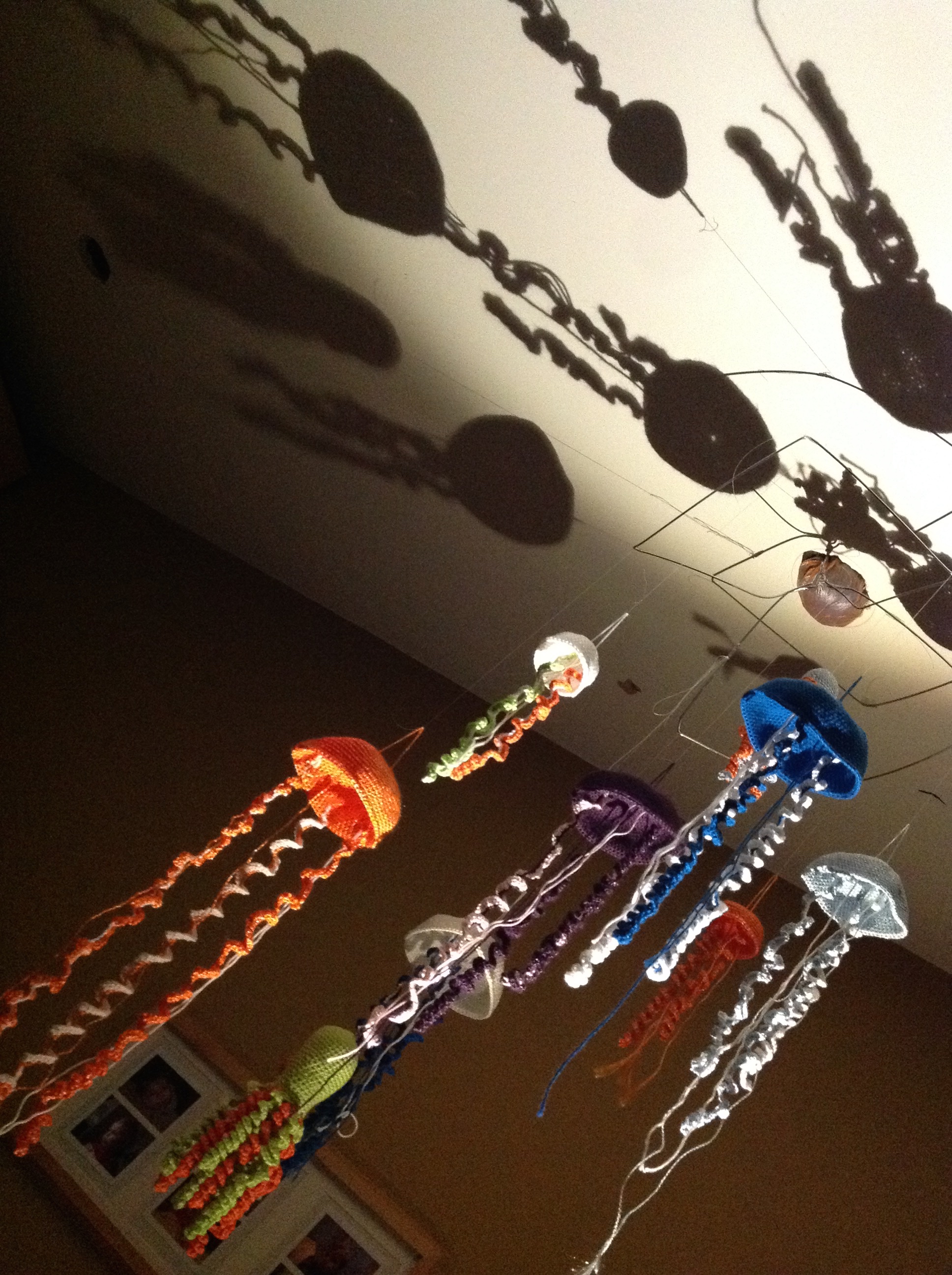 Jellyfish entry