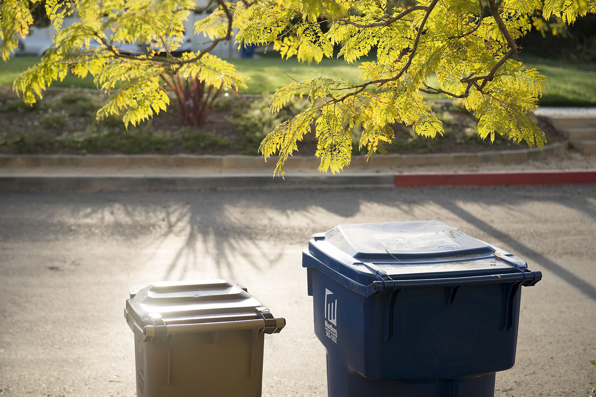 Trash Day , 2015 archival inkjet print 20 x 30 inches from the series The Estate