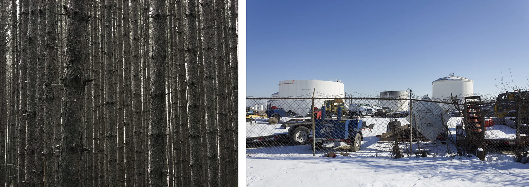 Barbara Diener, Trees , 2013; Michael Curtis Asbill, West Shore Pipe Line Co. Arlington Heights, IL , 2018