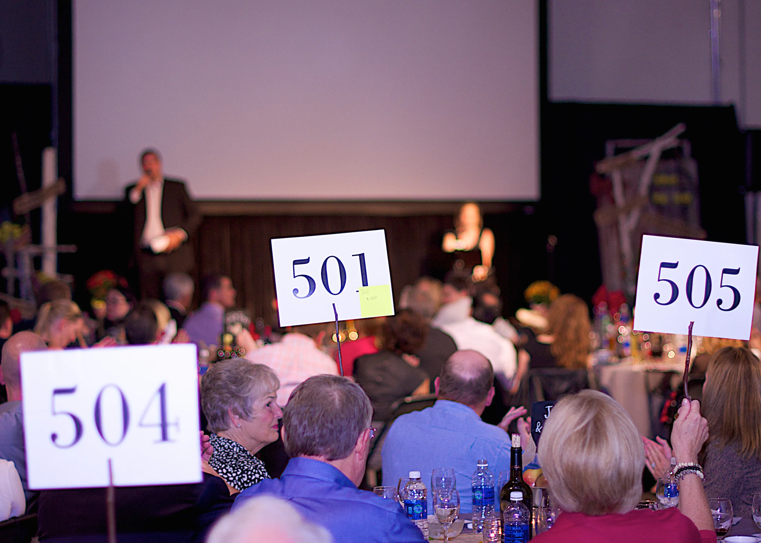 Auction Packages.jpg
