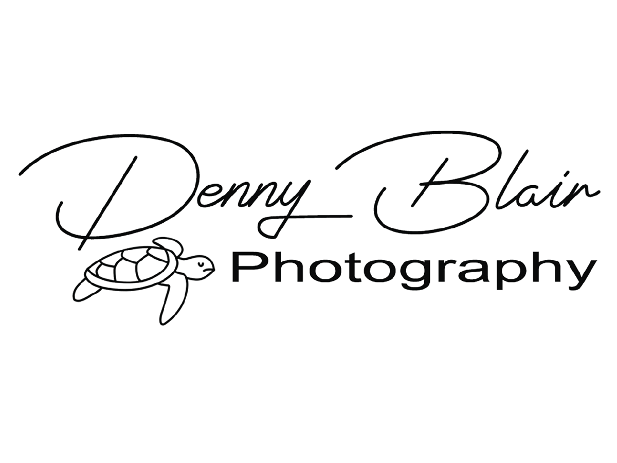 Denny Blair - TS19Web_Artboard 1.png