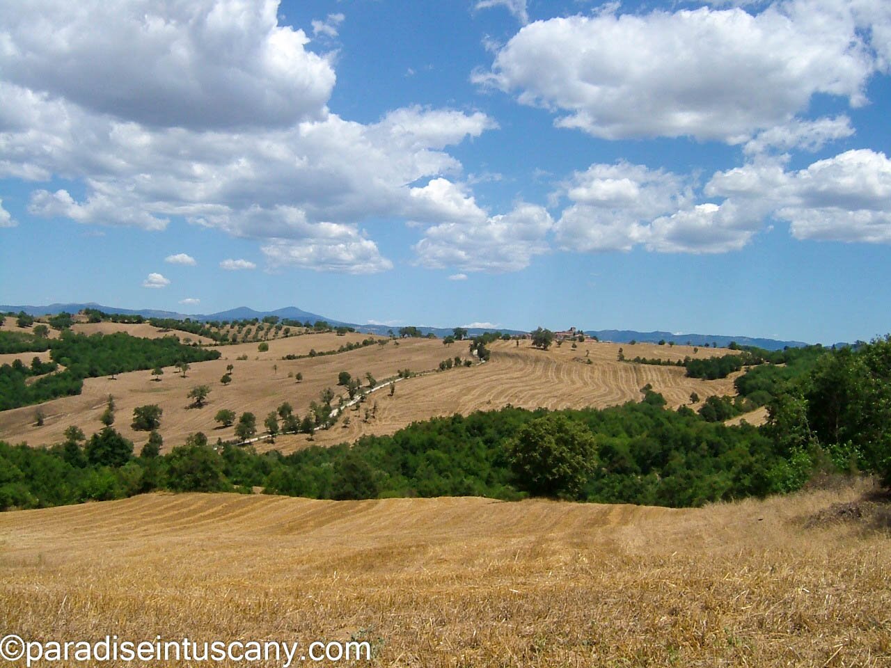 The Maremma Project