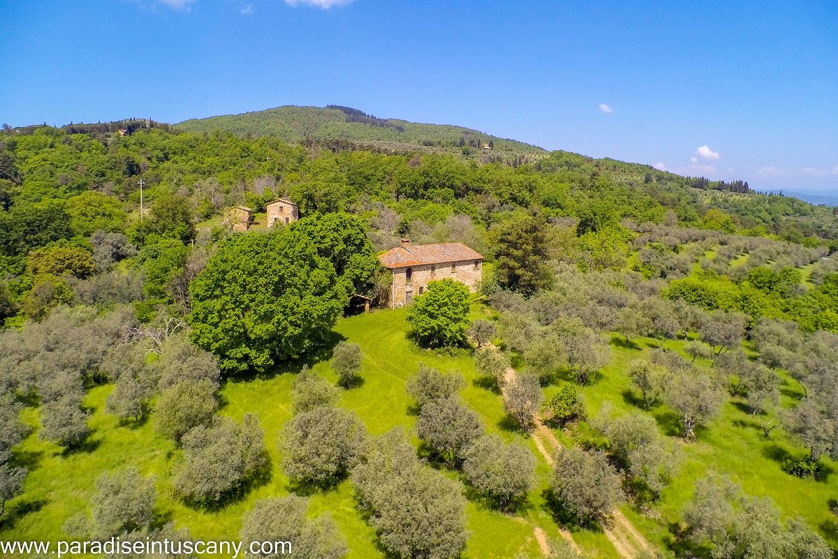Three charming Country Houses with private hunting ground to be restored in Central Tuscany.